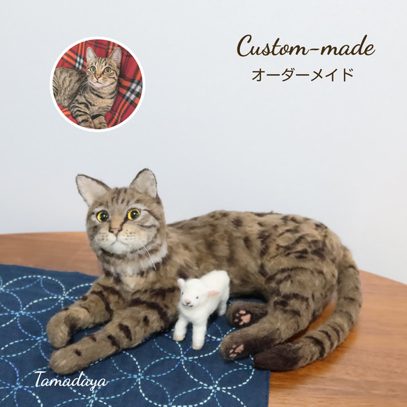 羊毛ねこねこ　orderページ 羊毛ねこねこ orderページ