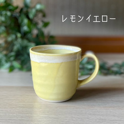 シャーベットマグカップ - 彩りのひとときを楽しむ〈再販〉 5枚目の画像