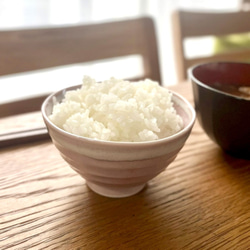 【限定販売】うす彫り茶碗・小サイズ　シャーベットシリーズ 13枚目の画像