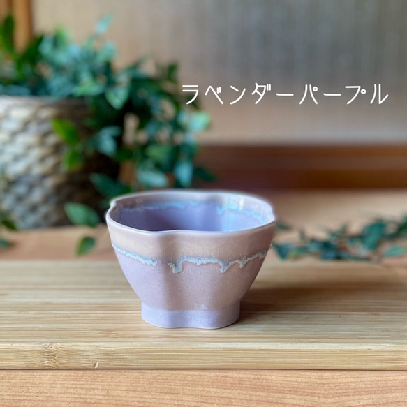 シャーベットのうつわ ―ひねり―（数量限定） 9枚目の画像