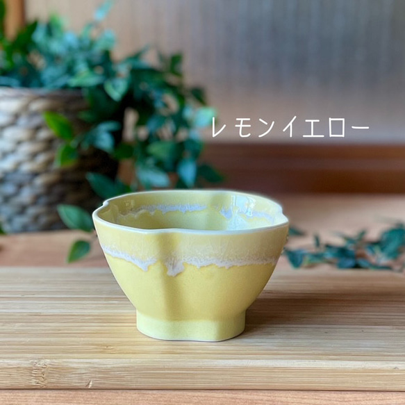 シャーベットのうつわ ―ひねり―（数量限定） 6枚目の画像