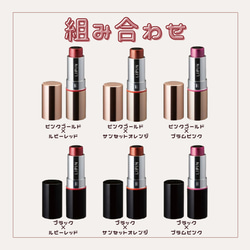 【まるでリップのようなネーム印】シャチハタ　LIPIN 4枚目の画像