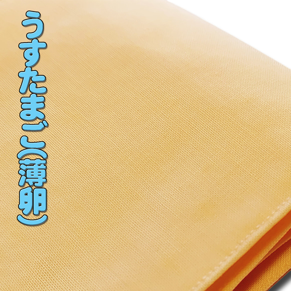 お着楽舎/本モス伊達締め 着崩れ防止 着付け安定 和装小物 ズレにくい 着姿改善  100％本モス 限定カラー 12枚目の画像