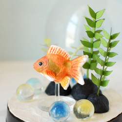 金魚 インテリア雑貨・生活道具 のおすすめ人気通販｜Creema(クリーマ