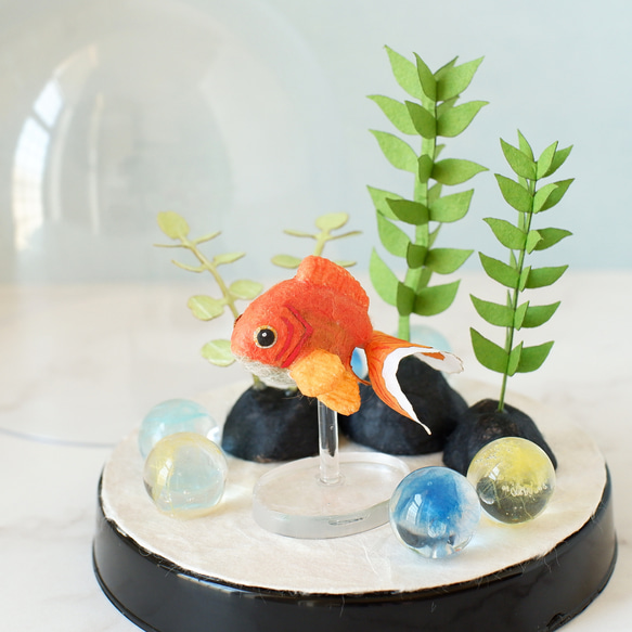 ◌金魚の涼飾り◌ トサキン(土佐金・土佐錦) 和紙アクアリウム/箱庭