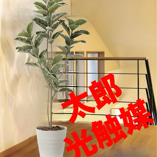 光の楽園 光触媒 人工観葉植物 フェイクグリーン スカーレット 光の楽園 光触媒 人工観葉植物 フェイクグリーン スカーレット