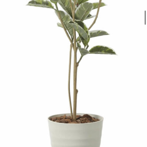 光触媒　人工観葉植物　ウォールグリーン　フェイクグリーン　アルテシマ170170 光触媒 人工観葉植物 ウォールグリーン フェイクグリーン アルテシマ