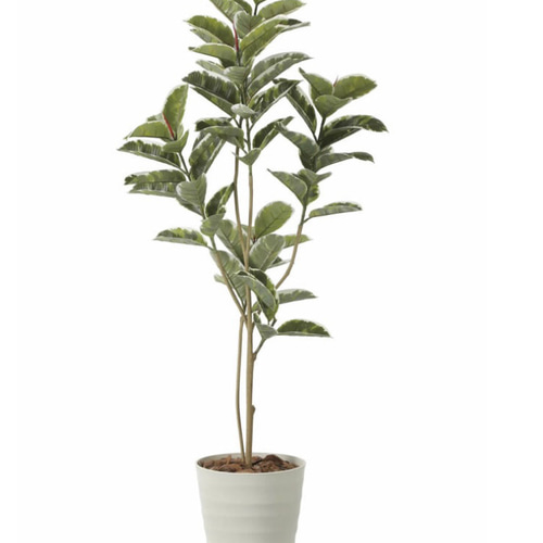 光触媒　人工観葉植物　ウォールグリーン　フェイクグリーン　アルテシマルーツ 光触媒 人工観葉植物 ウォールグリーン フェイクグリーン アルテシマ