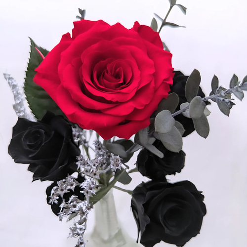 ワインレッドの薔薇花と黒薔薇の花 赤と黒の出会いのプリザーブド