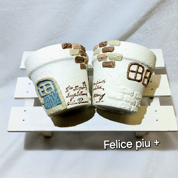 リメイク鉢 リメ鉢 2.5号鉢2点セットA-33 多肉植物 Felice piu + リメイク鉢 リメ鉢 2.5号鉢2点セットA-33 多肉植物 Felice piu +