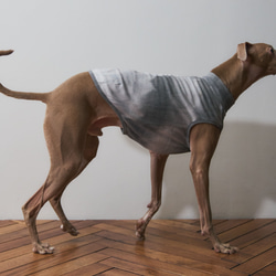 犬服 イタグレ のおすすめ人気通販 検索結果｜Creema(クリーマ