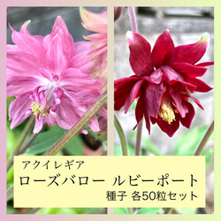 笹岡桃流斎　青磁花瓶 美しい色と形！希少！ d57df0059adc2f6aef6bab64f5eaa3