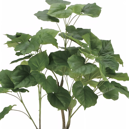 光触媒 人工観葉植物 ウォールグリーン フレッシュウンベラータ1.35m