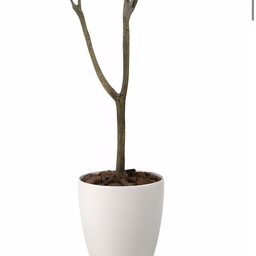 光触媒 人工観葉植物 フェイクグリーン フィカスウンベラータ 光触媒 人工観葉植物 フェイクグリーン フィカスウンベラータ