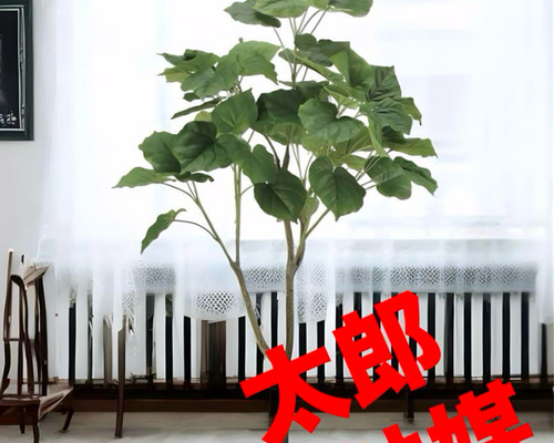 光触媒 人工観葉植物 ウォールグリーン フレッシュウンベラータ1.35m