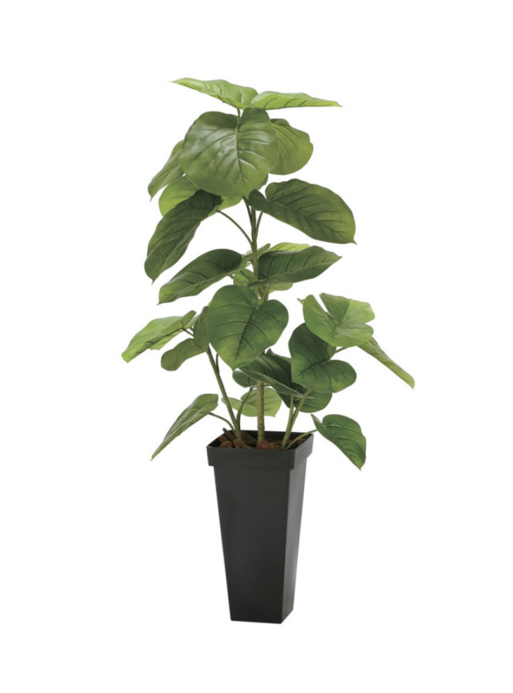 光触媒 人工観葉植物 ウォールグリーン フェイクグリーン ウンベラータ1.2
