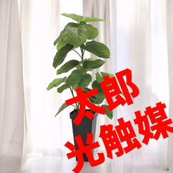 光触媒　人工観葉植物　フェイクグリーン　フレッシュDXスリムウンベラータ1.2m 光触媒 人工観葉植物 フェイクグリーン フレッシュDXスリム