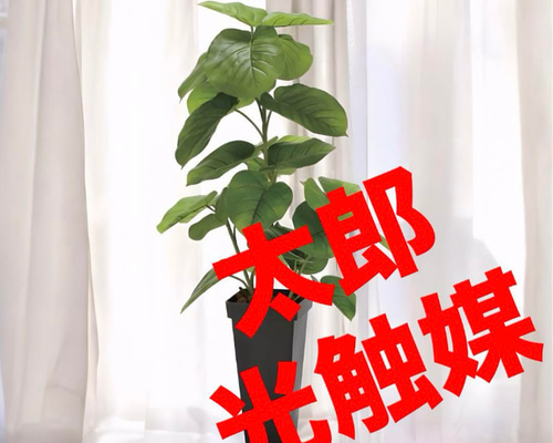 光触媒　人工観葉植物　フェイクグリーン　フレッシュDXスリムウンベラータ1.2m 光触媒 人工観葉植物 フェイクグリーン フレッシュDXスリム