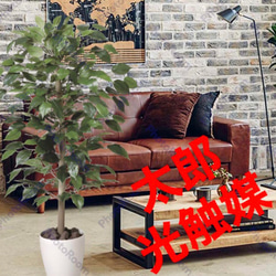 光触媒 人工観葉植物 ウォールグリーン フェイクグリーン パームヤシ70