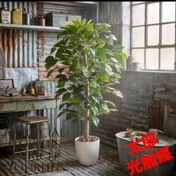 光触媒 人工観葉植物 ウォールグリーン フェイクグリーン ガジュマル