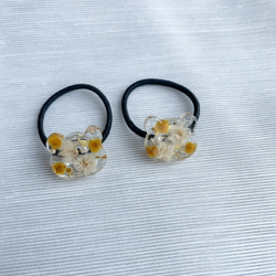 ビションフリーゼ ベビーキッズヘアクリップ2点セット 前髪