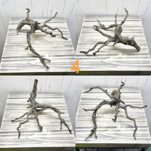 個性派揃い マレーシア産 枝流木 ブランチウッド ブラック 流木 その他