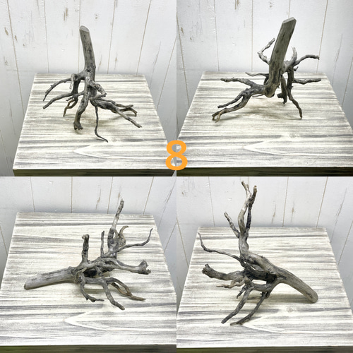 個性派揃い マレーシア産 枝流木 ブランチウッド ブラック 流木 その他