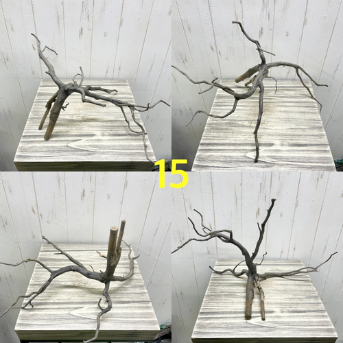 個性派揃い マレーシア産 枝流木 ブランチウッド ブラック 流木 その他