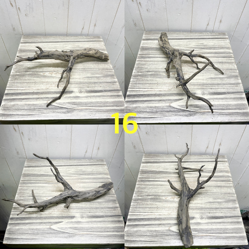 個性派揃い マレーシア産 枝流木 ブランチウッド ブラック 流木 その他