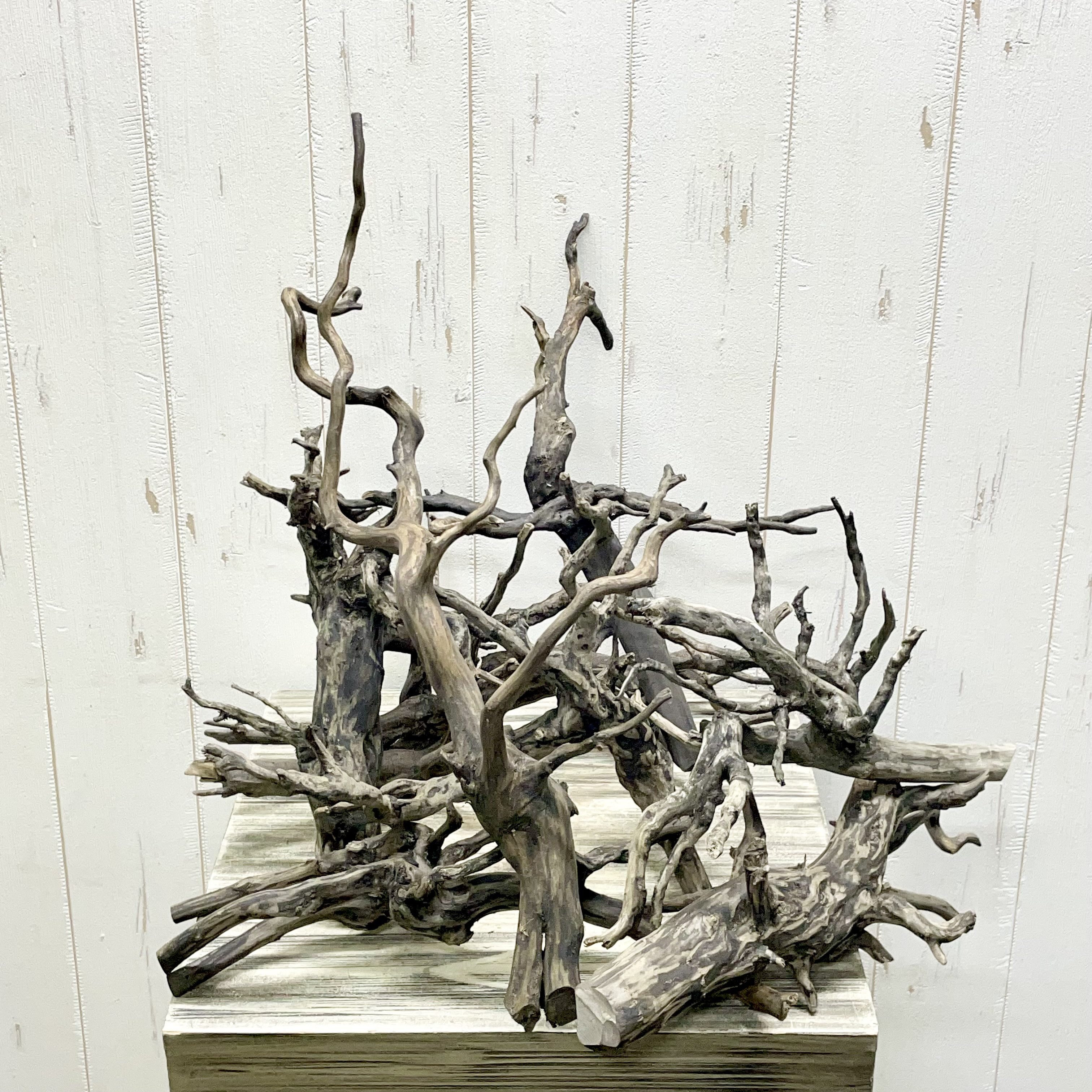 アク抜き済み流木【322】セール アク抜き済み流木【322】セール