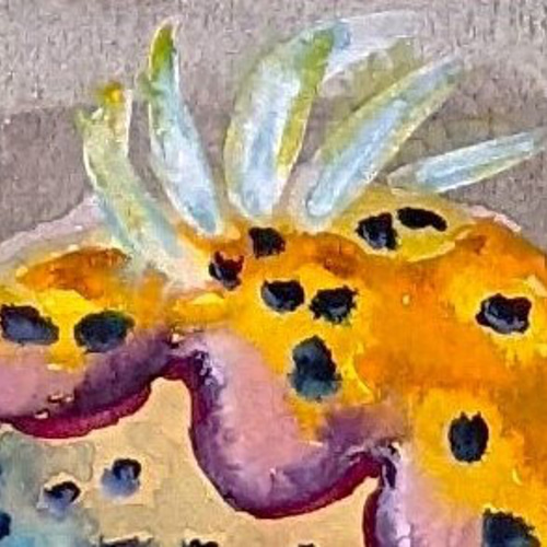 憧れの トウモンウミコチョウ水彩原画 絵画