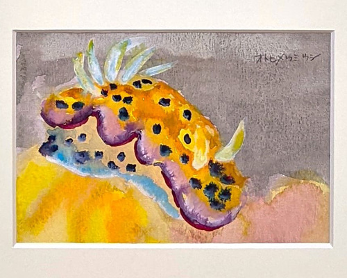 ウミウシ ホヤ 珊瑚 海 風景 原画 アート 絵画 画家 ハンドメイド ffa7a2d75d9ad50eba65ceeeaa77c7