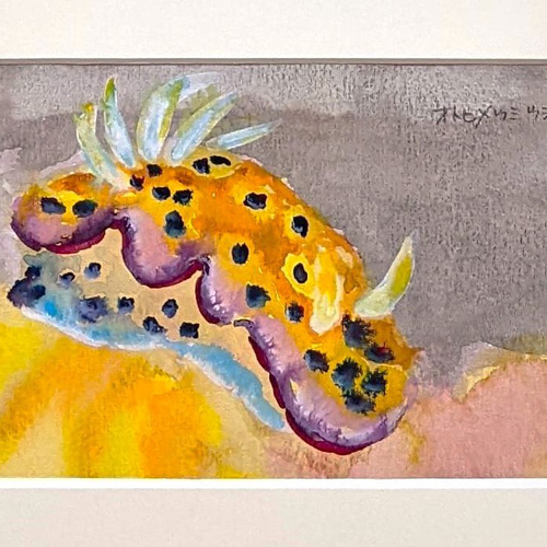 オトヒメウミウシ 水彩画原画 (SM) 絵画 yko 通販 18066967｜Creema