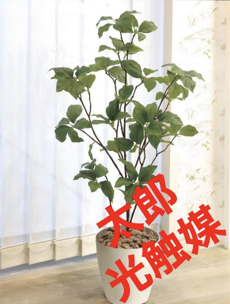 光触媒 人工観葉植物 ウォールグリーン フェイクグリーン サラサ