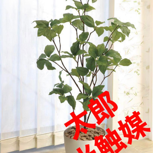 光触媒　人工観葉植物　ウォールグリーン　フェイクグリーン　サラサドウダン1.6 光触媒 人工観葉植物 ウォールグリーン フェイクグリーン サラサ