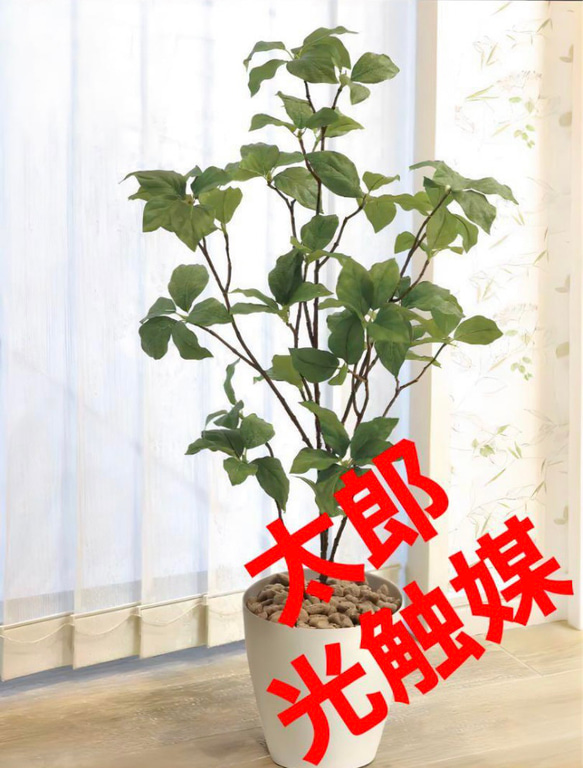 光触媒 人工観葉植物 ウォールグリーン フェイクグリーン サラサ