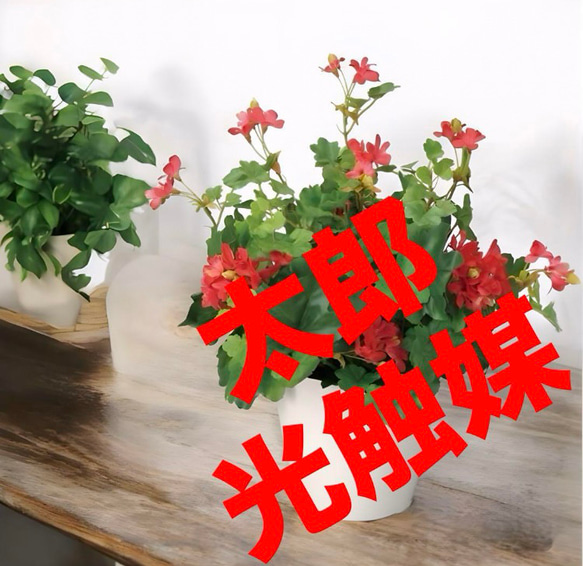 光触媒 人工観葉植物 ウォールグリーン フェイクグリーン