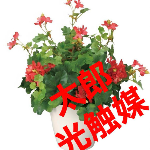 【在庫あり/即出荷可】 光触媒 人工観葉植物 ウォールグリーン フェイクグリーン フラワー・ガーデニング