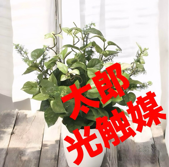 光触媒 人工観葉植物 ウォールグリーン フェイクグリーン ライムポトスMIX