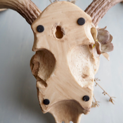 Botanical Bone 鹿スカル × アーティフィシャルフラワー 壁掛けインテリア（Stag ver.） 10枚目の画像