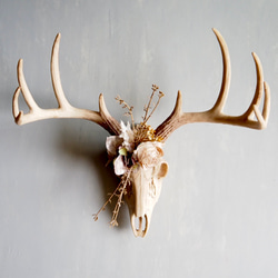 Botanical Bone 鹿スカル × アーティフィシャルフラワー 壁掛けインテリア（Stag ver.） 1枚目の画像