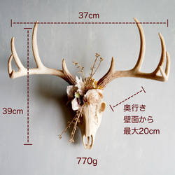 Botanical Bone 鹿スカル × アーティフィシャルフラワー 壁掛けインテリア（Stag ver.） 6枚目の画像