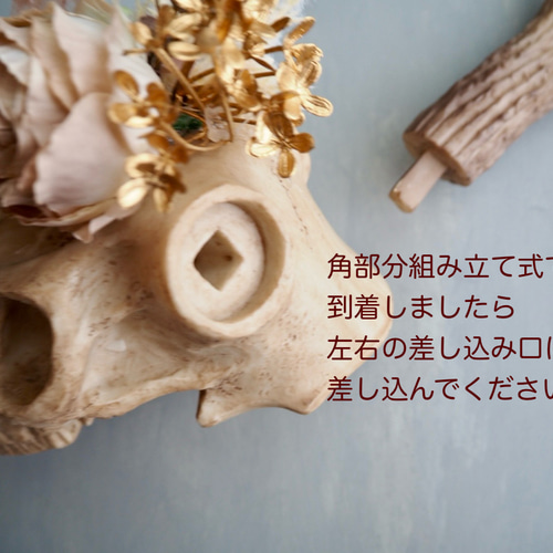 Botanical Bone 鹿スカル × アーティフィシャルフラワー 壁掛け