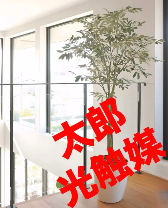 光触媒　人工観葉植物　ウォールグリーン　フェイクグリーン　オリーブツリー1.7m 光触媒 人工観葉植物 ウォールグリーン フェイクグリーン オリーブ