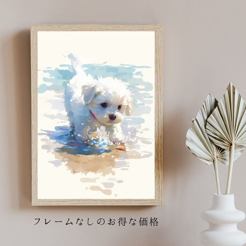 【原画】『苔むした戦士マール』（犬　マルチーズ） 貝犬戯舞 - マルプー犬の子犬 No.1】マルチーズ・トイプードル