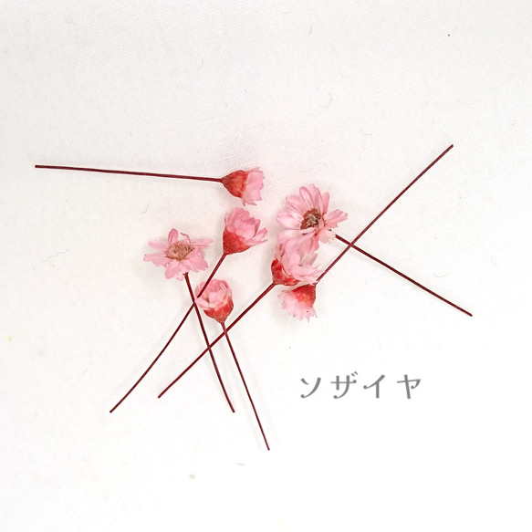 スターフラワー 15個 ピンク ドライフラワー 小花 花材 花 ハンドメイド 資材 1枚目の画像