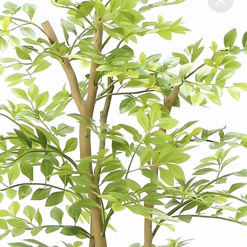 光触媒 人工観葉植物 フェイクグリーン ゴールデンリーフ 高さ 1.6m 