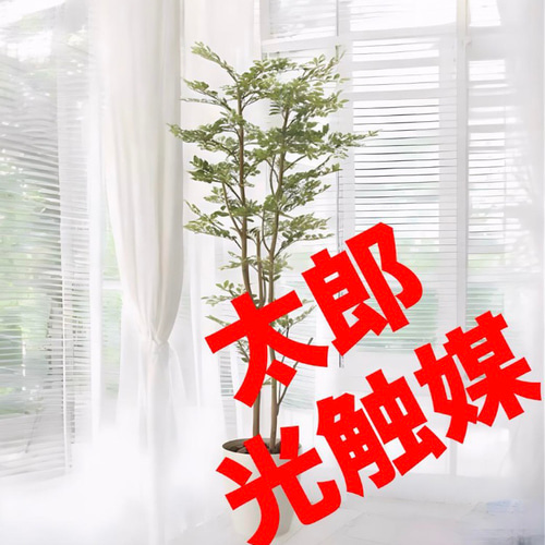 光触媒 人工観葉植物 フェイクグリーン ゴールデンリーフ 高さ 1.6m 