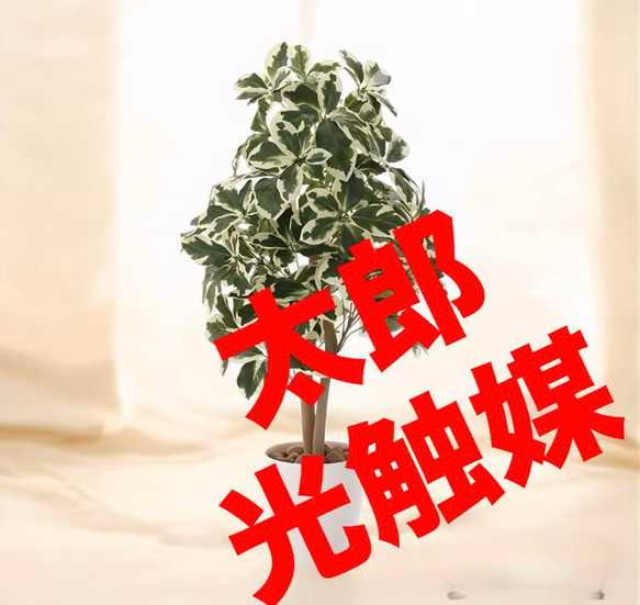 2024 光触媒 人工観葉植物 ウォールグリーン フェイクグリーン