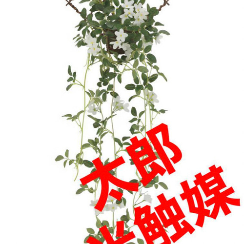 光触媒 人工観葉植物 ウォールグリーン フェイクグリーン 壁掛け